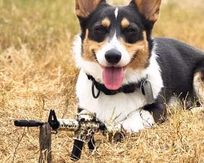 GoatGuns - Mini AR15 - Camo