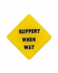 Eagle Emblem - Pin - Slippery when wet