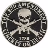 Eagle Emblem -  2nd amendment - Pin