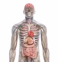 Range Solutions - “Pegi18" Practice Targets