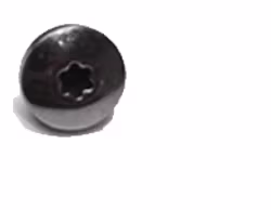 Sig Sauer - P226 X-Five Spare Part Grip Plate Screw Torx10