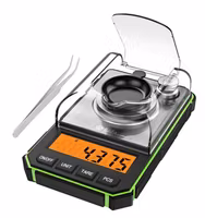Electronic Digital Scale