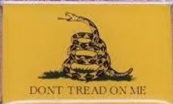 Don't Tread On Me Enamel Pin