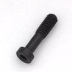 Ruger - Take Down Screw för Ruger 10/22