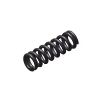 CZ - P-10 - Disassembly Plate Spring - #25