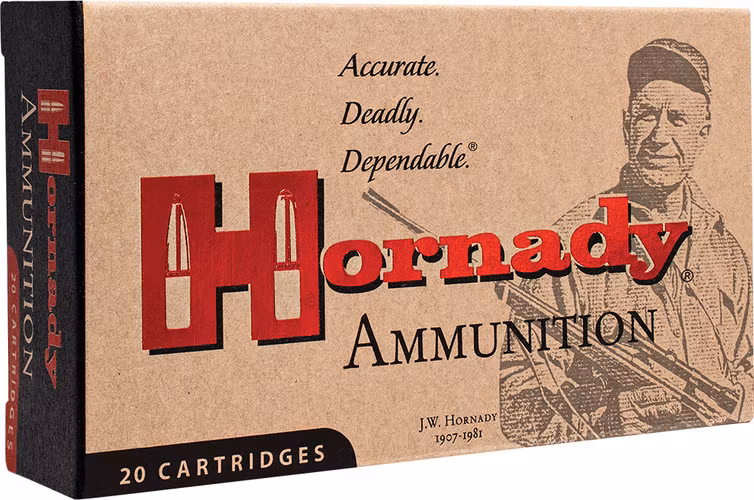 Hornady - Custom Ammunition - 450 Bushmaster - 250gr - FTX - 20/Box