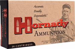 Hornady - Custom Ammunition - 450 Bushmaster - 250gr - FTX - 20/Box