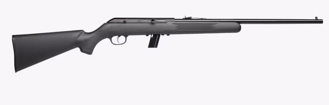 Savage - 64 F 22 LR 21"