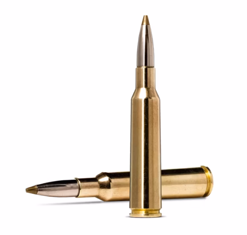 Norma - EVOSTRIKE - 6.5x55 - 6.0g/93gr - 20/ask