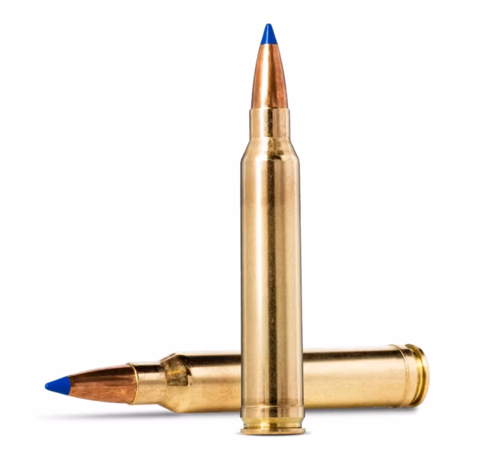 Norma - CTG .300 Win Mag. - Bondstrike - 180gr - 20/ask