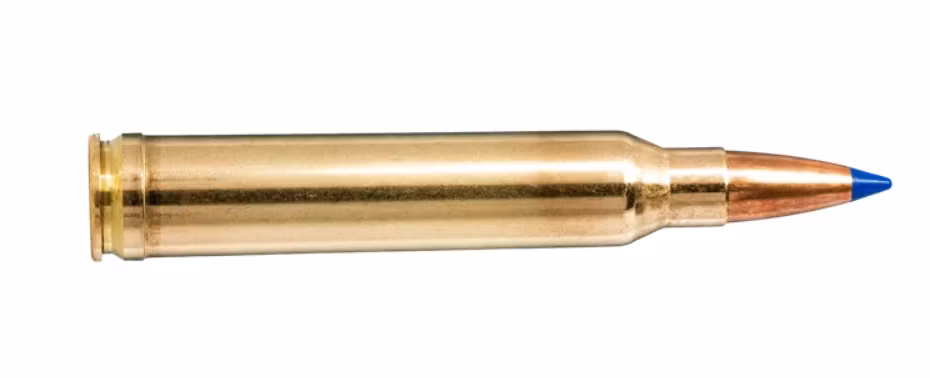 Norma - CTG .300 Win Mag. - Bondstrike - 180gr - 20/ask