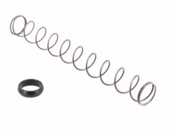 Sig Sauer - P322 Recoil Spring/Bushing Kit