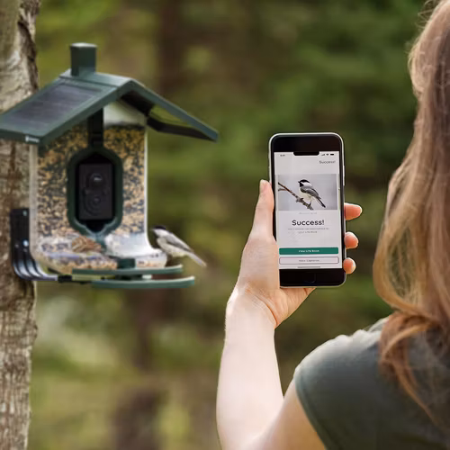 FeatherSnap - Scout Smart Bird Feeder