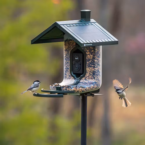 FeatherSnap - Scout Smart Bird Feeder