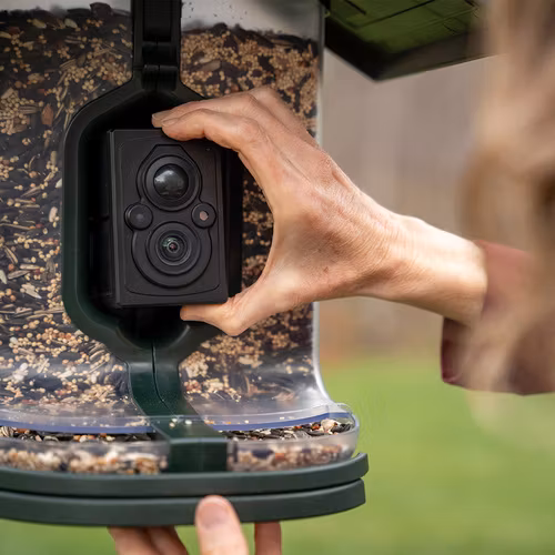 FeatherSnap - Scout Smart Bird Feeder