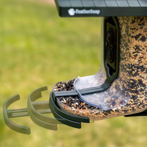 FeatherSnap - Scout Smart Bird Feeder