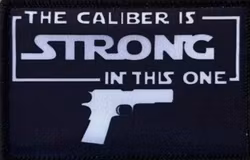 The Caliber Is Strong in This One - Patch