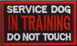 Service dog in training - Do  not touch  - Svart/Röd - Patch