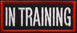 In Training - Svart/Röd - Patch