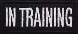 In Training - Svart - Patch