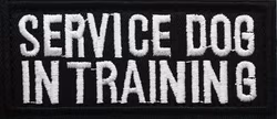 Service dog in training - Svart - Patch
