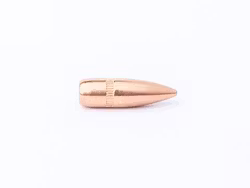 CamPro - .223 Remington - 55 gr - FMJ - Spitzer - Boat Tail