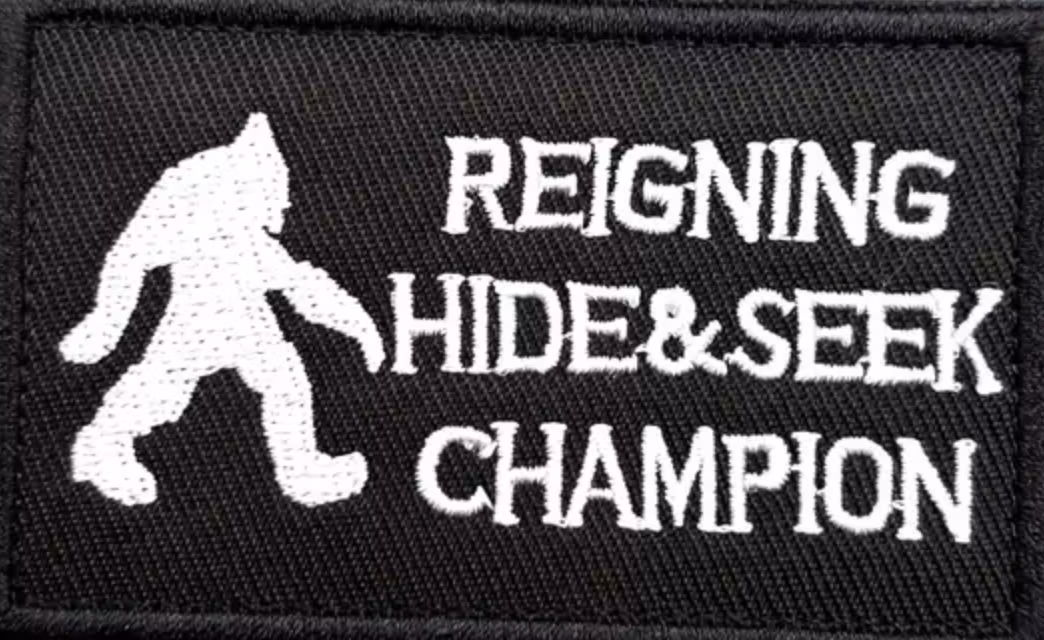 Reigning hide and seek champion - Patch