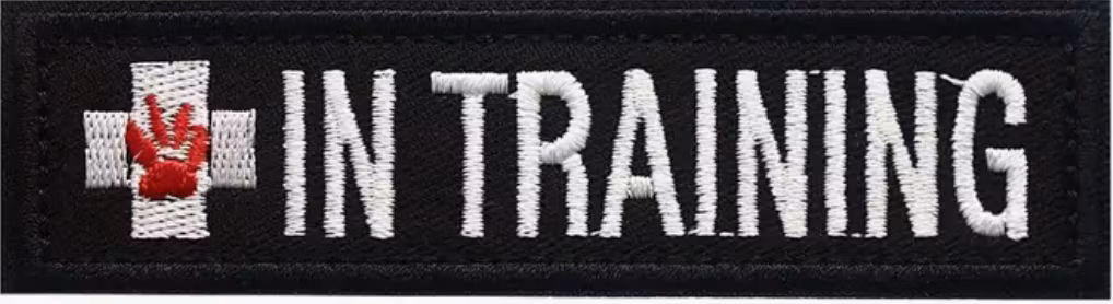 In training - Red dog fot - Patch