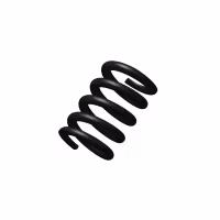 CZ - Extractor Spring