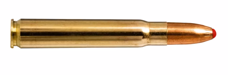 Norma - 9.3x62 - Ppdc - 18,4gr/285g - 20/ask