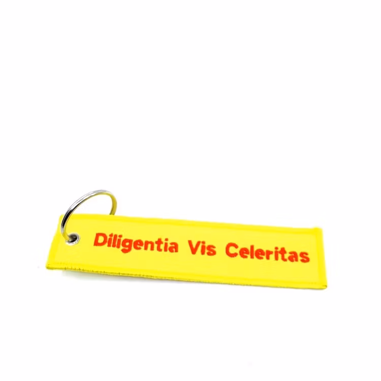 RangeMaster - Broderad Nyckelring - Diligentia vis Celeritas