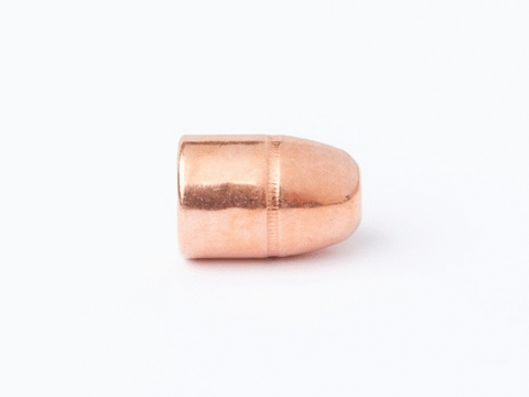 CamPro - 45-70 GOVT. - 300gr - FCP - RNFP