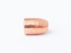 CamPro - 45-70 GOVT. - 300gr - FCP - RNFP