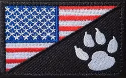 USA - Tass  - Patch