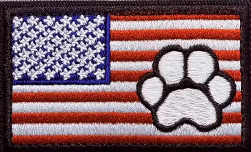 USA tass - Patch