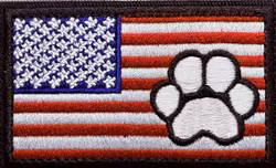 USA tass - Patch