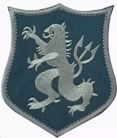 Seal Team 6 - Grön - Patch