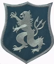 Seal Team 6 - Grön - Patch