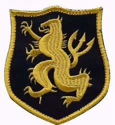 Seal Team 6 - Gul/Svart - Patch