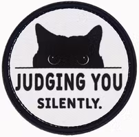 Judging You - Silently  - Patch