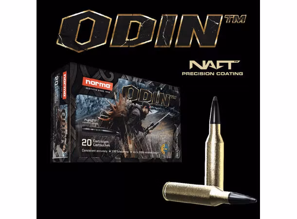 Norma - ODIN - 30-06 Spring - 10.5g/165gr
