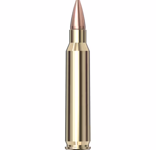 Hornady - American Gunner - 223 Rem - 55 gr HP - 50/Box