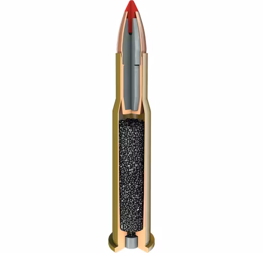 Hornady - Leverevolution - 45-70 Govt -  325 gr - FTX - 20/Box