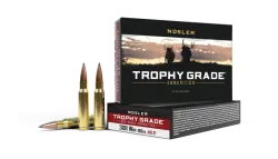 Nosler - Trophy Grade - 308 Win - 168g - ABLR SP - 20/ask