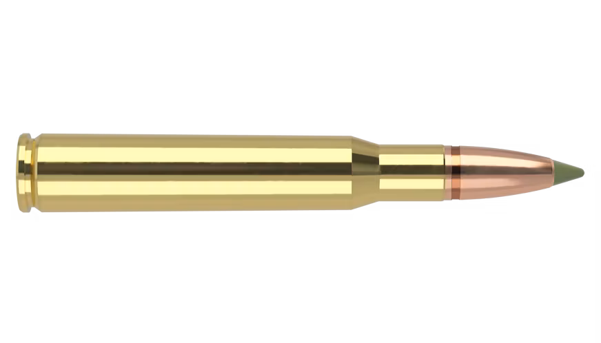 Nosler - Expansion Tip - 30-06 Sprg - 180g - ET SP - 20/ask