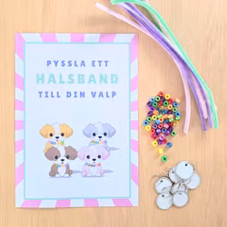 Min första valp - kalaspaket