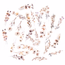 PET stickers - Blommor beige