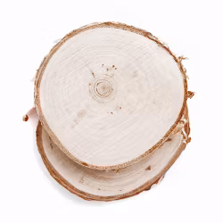 Träskivor 6-8 cm (2 st)