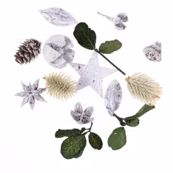 Torkade frukter och blad - vit (20 g)