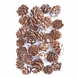 Minikottar (25 g)